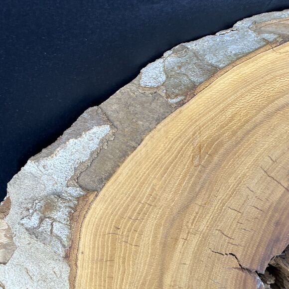 Burlwood Cut Live Edge Wood Slab Slice Owl Decor Unique OFAK Artwork - Picture 4 of 16